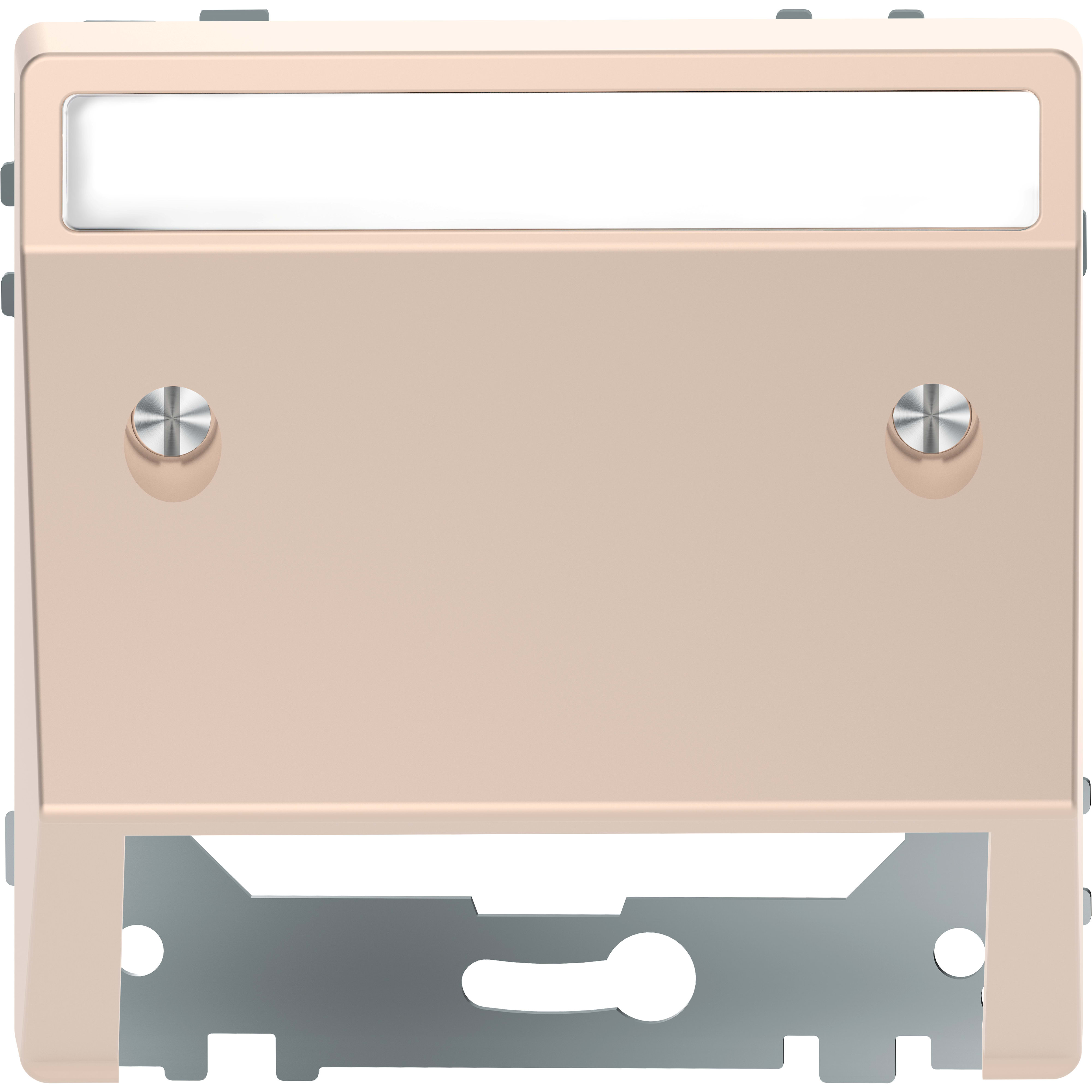 SCHNEIDER ELECTRIC - Presa inclinata con etichetta, champagne, System Design