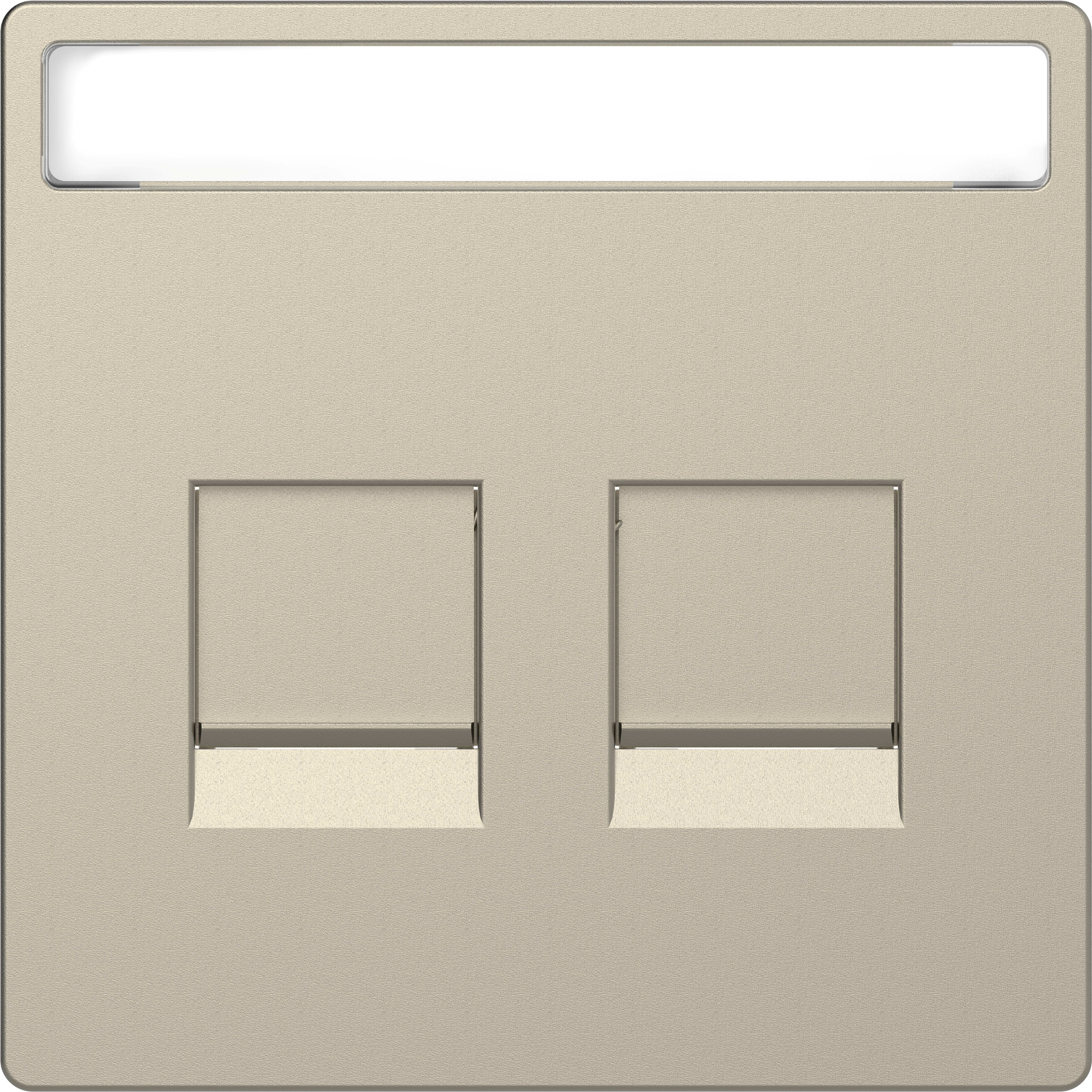 SCHNEIDER ELECTRIC - Piastra conn mod, 2 slot, etich, serr antipolvere, sahara, System Design