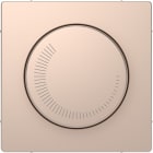 SCHNEIDER ELECTRIC - Piastra per controllo velocità, champagne, System Design