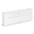 SCHNEIDER ELECTRIC - Lampada di emergenza, Exiway Smartled, Activa/Dicube, autonomia selezionabile, 250 lm, permanente/non permanente, IP65 OVA48524
