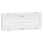 SCHNEIDER ELECTRIC - Lampada di emergenza, Exiway Smartled, Activa/Dicube, durata selezionabile, 750 lm, permanente/non permanente, IP65, parete