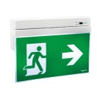SCHNEIDER ELECTRIC - Exiway Smartexit, IP40, Autoalimentato Diagnosi Centralizzata DiCube, SE/SA, 26m, 3h, Apparecchio di illuminazione di sicurezza
