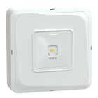 SCHNEIDER ELECTRIC - Exiway Smartbeam Soffitto, IP65, Autoalimentato Diagnosi Centralizzata DiCube, SE-SA, 190lm SE, 190lm SA, vie di fuga, 3h, illuminazione di sicurezza OVA48946