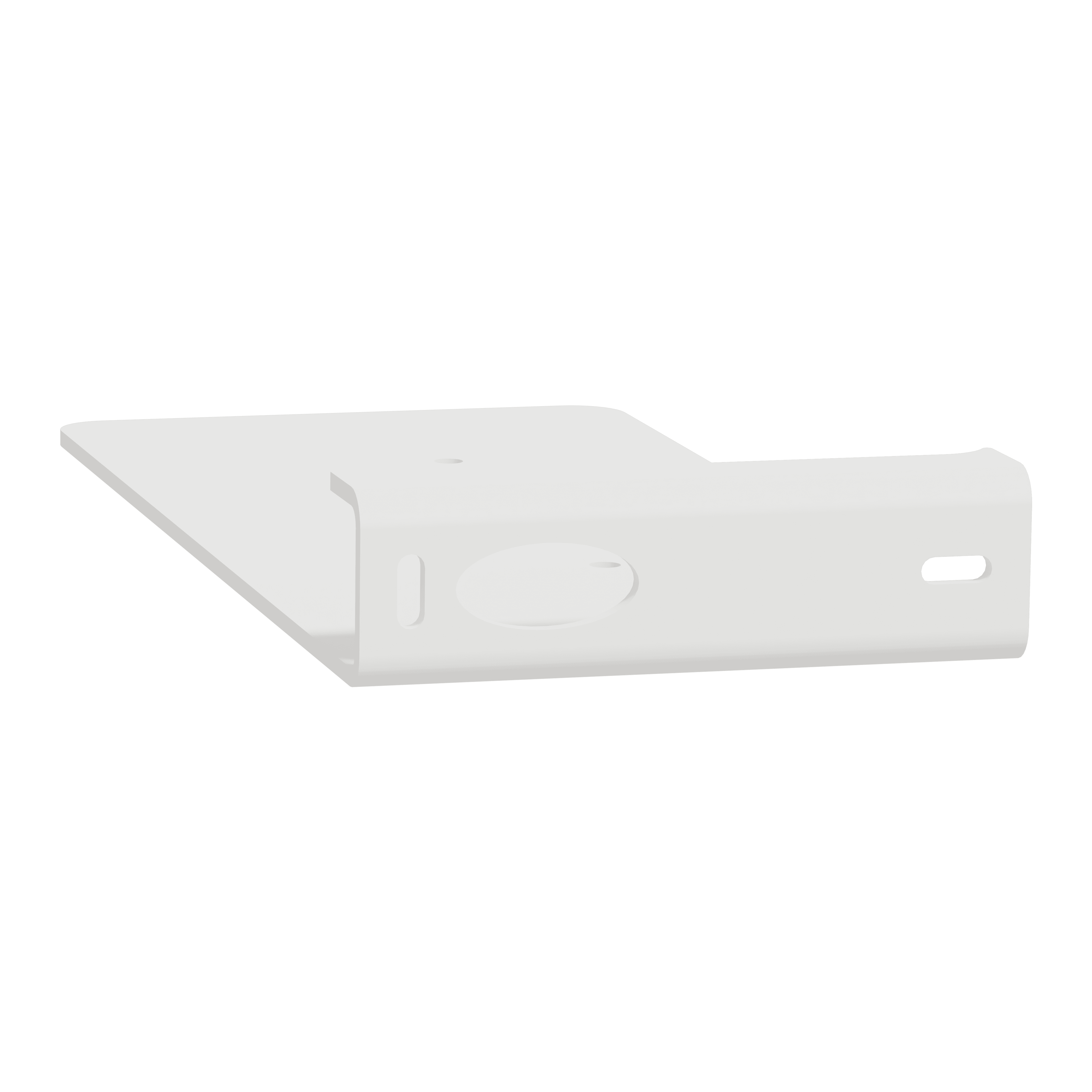 SCHNEIDER ELECTRIC - Staffa bandiera Exiway Light, Accessorio