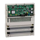 SCHNEIDER ELECTRIC - Modulo di uscite digitali, Discrete Output Module per Modicon Momentum, 4 Output - 4..20 mA 170AAO92100