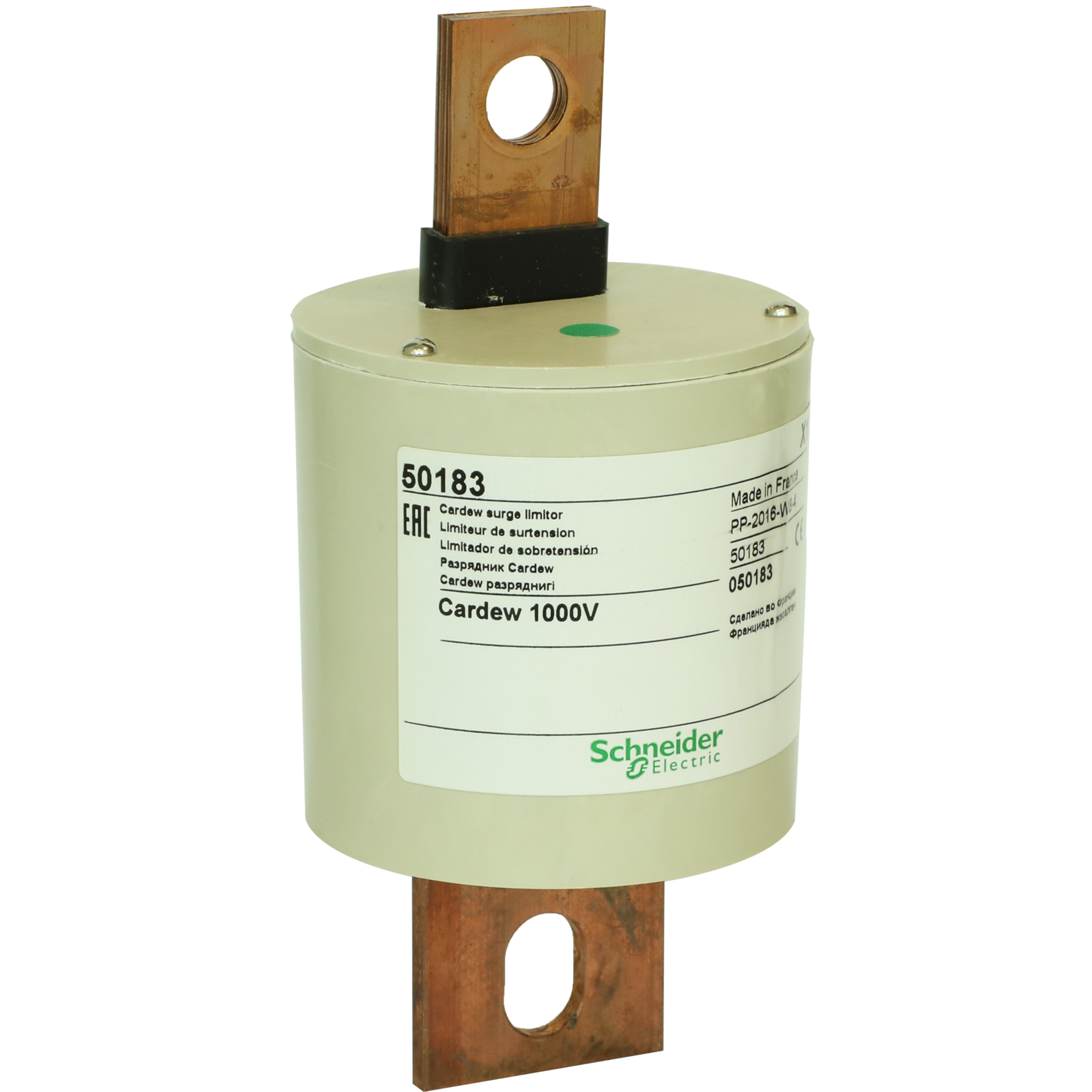 SCHNEIDER ELECTRIC - Cartuccia Cardew per Vigilohm - Tipo C - 1000 V 50183