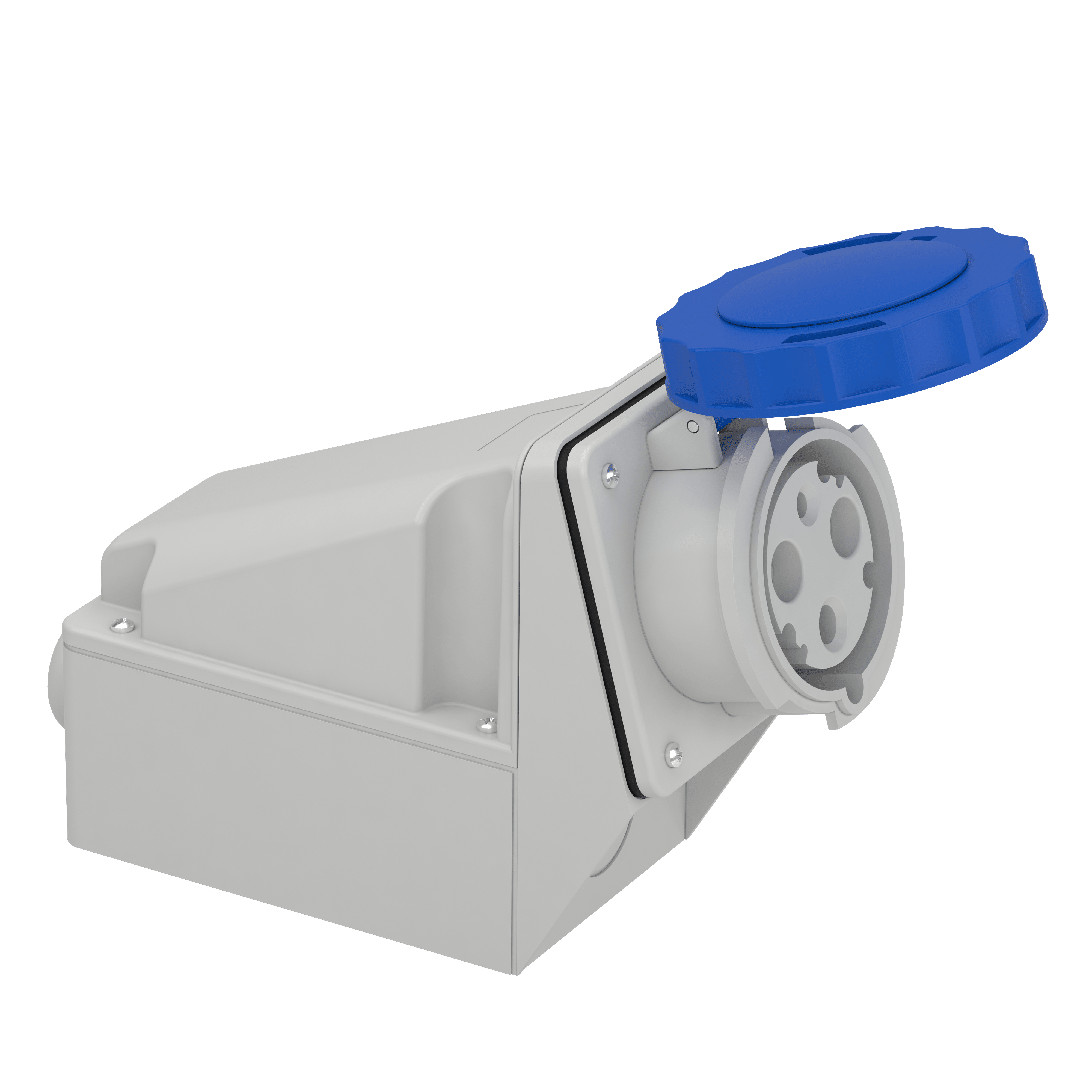 SCHNEIDER ELECTRIC - Presa fissa BT da parete IP67 63A 220V 2P+T