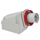 SCHNEIDER ELECTRIC - Spina fissa BT da parete IP67 63A 380V 3P+T 81582