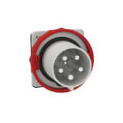 SCHNEIDER ELECTRIC - Spina fissa BT da incasso diritta IP67 125A 380V 3P+N+T 81895