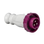 SCHNEIDER ELECTRIC - Spina mobile BTS IP67 16A 24V 50Hz 3P