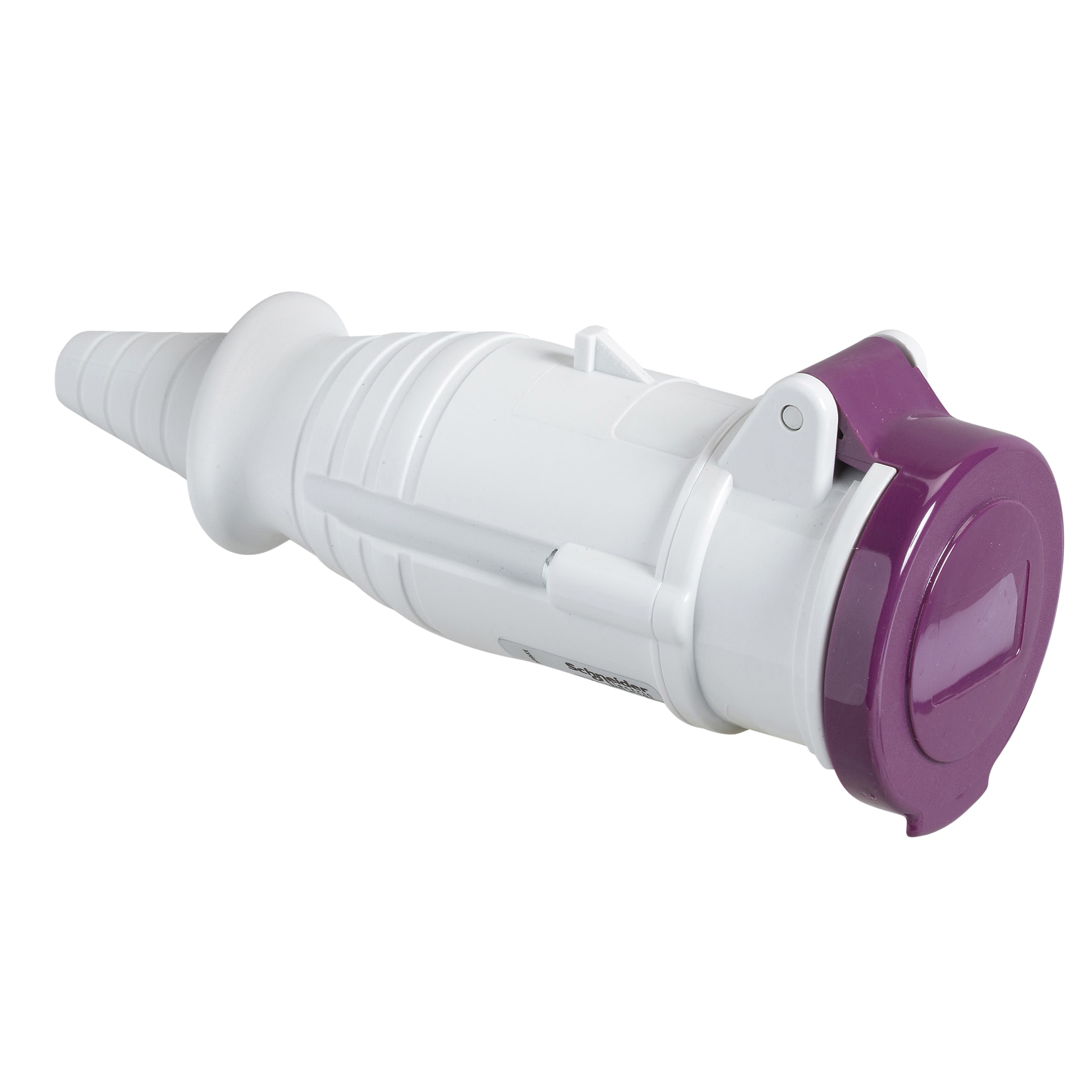 SCHNEIDER ELECTRIC - Presa mobile BTS IP44 16A 24V 50Hz 2P 82401