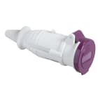 SCHNEIDER ELECTRIC - Presa mobile BTS IP44 16A 24V 50Hz 2P 82401