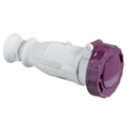 SCHNEIDER ELECTRIC - Presa mobile BTS IP67 16A 24V 50Hz 2P 82451