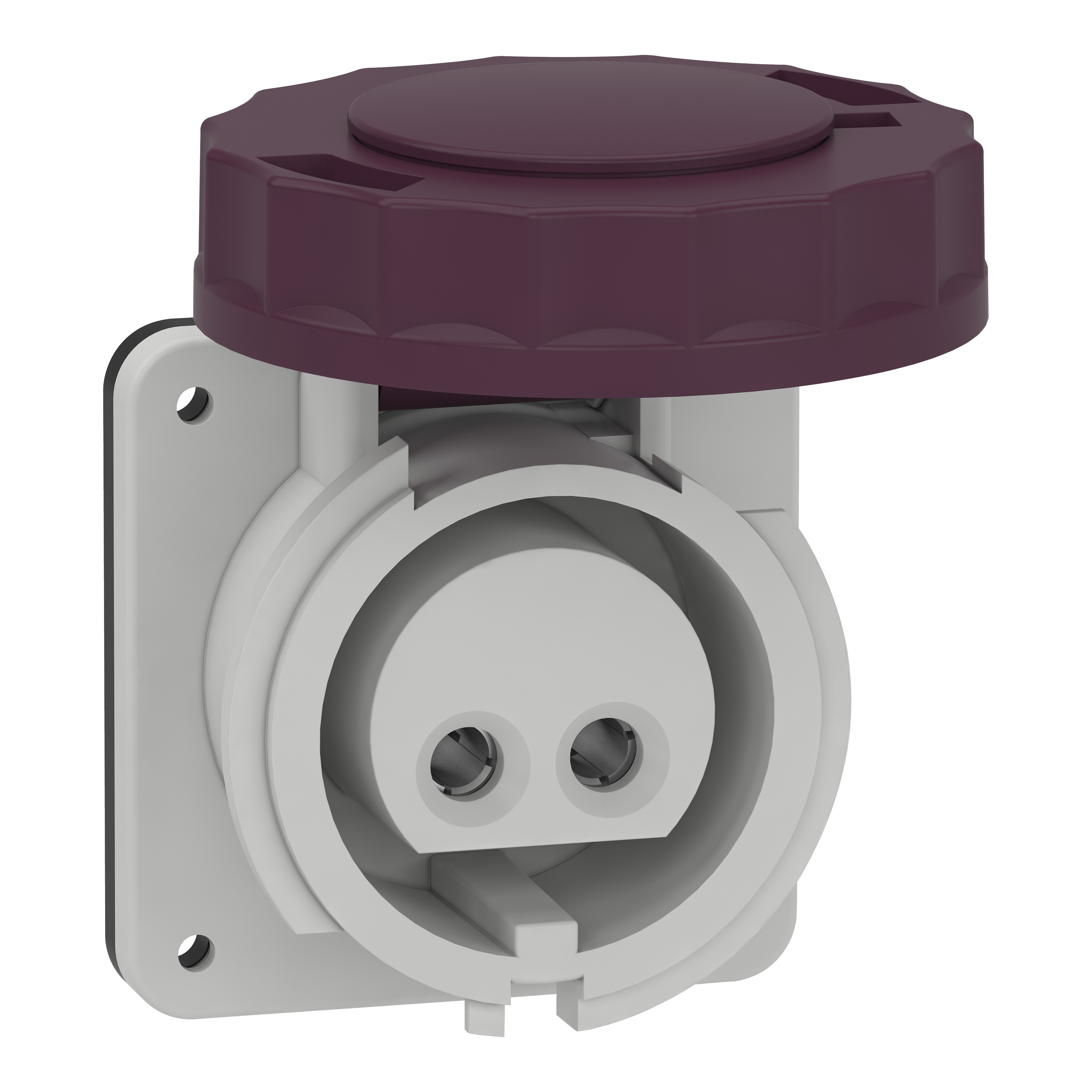 SCHNEIDER ELECTRIC - Presa fissa BTS da incasso IP67 16A 24V 50Hz 2P 82951