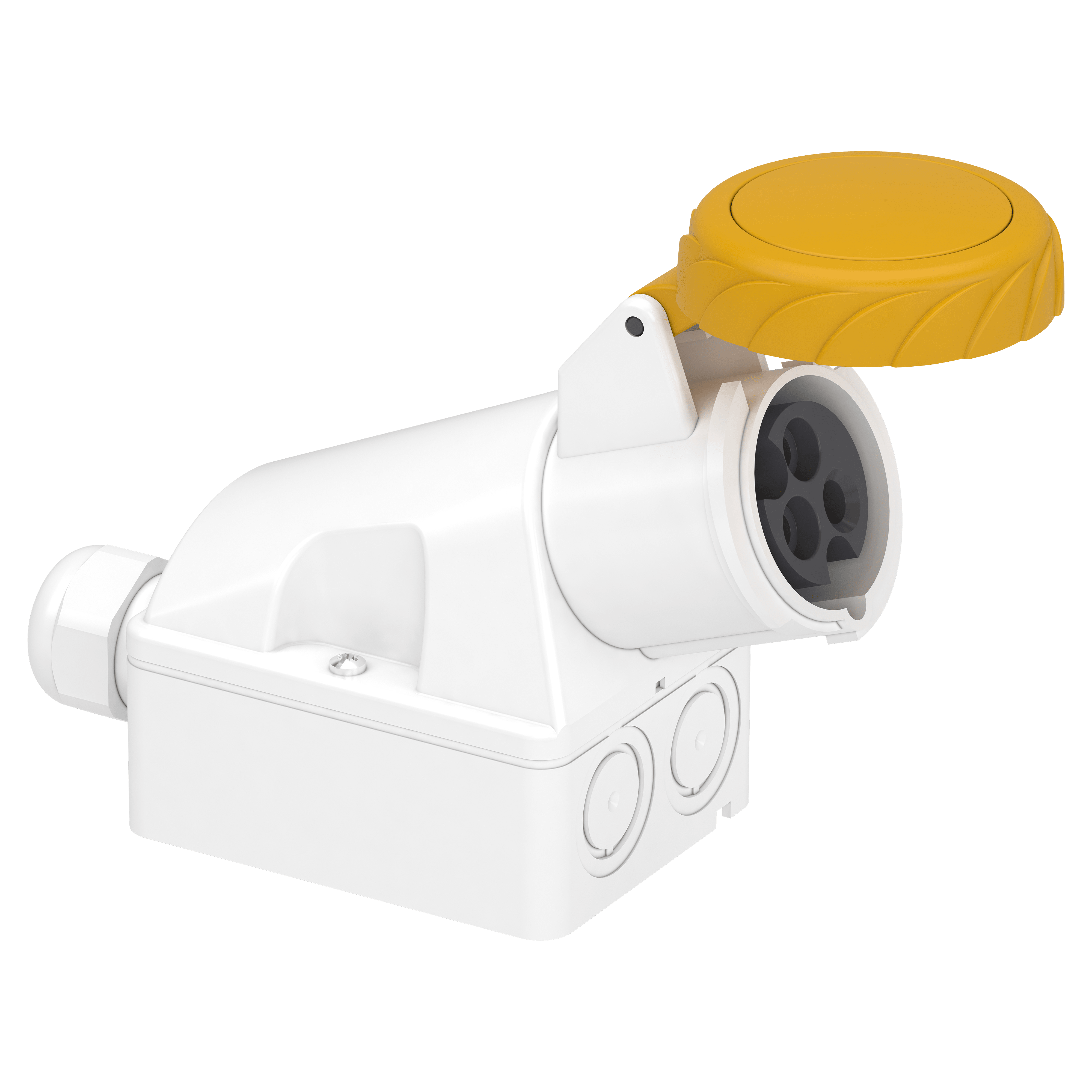 SCHNEIDER ELECTRIC - Presa fissa BT da parete IP67 16A 110V 2P+T 83151