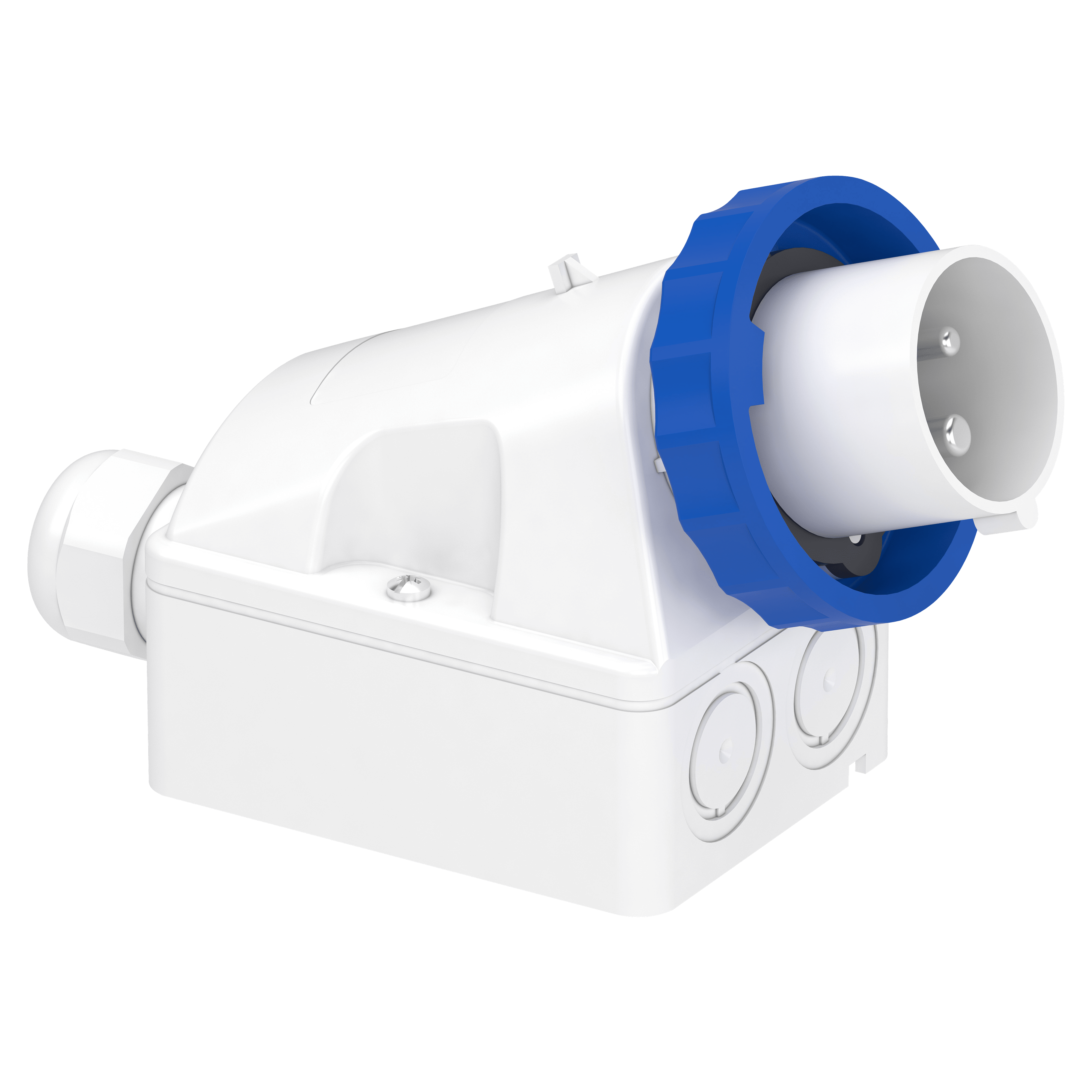 SCHNEIDER ELECTRIC - Spina fissa BT da parete IP67 16A 220V 2P+T