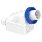 SCHNEIDER ELECTRIC - Spina fissa BT da parete IP67 16A 220V 2P+T 83554