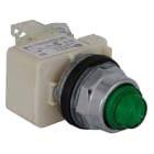 SCHNEIDER ELECTRIC - Pulsante luminoso verde Ø 30 - Sporgente, ritorno a molla - 24 V - 1NO