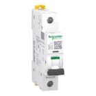 SCHNEIDER ELECTRIC - Interruttore magnetotermico iC60L 1P C 10A 15000A