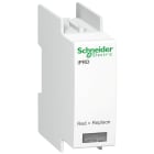 SCHNEIDER ELECTRIC - Cartuccia fase iPRD65r per IT A9L65122