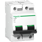 SCHNEIDER ELECTRIC - Interruttore magnetotermico C120N 2P D 125A 10000A A9N18385
