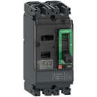 SCHNEIDER ELECTRIC - Interruttore, ComPacT NSX100F AC/DC, 18kA/415VAC, 2 poli, Sganciatore TMD 100A C10F2TM100