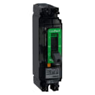 SCHNEIDER ELECTRIC - Interruttore, ComPacT NSX160M AC/DC, 40kA/240VAC, 1 poli, Sganciatore TMD 160A