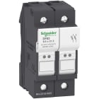 SCHNEIDER ELECTRIC - Portafusibile TeSys DF 25A - fusibile 8,5x31,5 2P