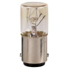 SCHNEIDER ELECTRIC - Lampadina a incandescenza - BA 9S - 24V 2 W