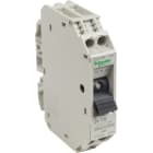 SCHNEIDER ELECTRIC - Interruttore TeSys per circuiti di controllo - GB2CD - 1 A - 1 polo+N - 1d