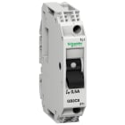 SCHNEIDER ELECTRIC - Interruttore TeSys per circuiti di controllo - GB2CS - 1 A - 1 polo - 1d GB2CS06