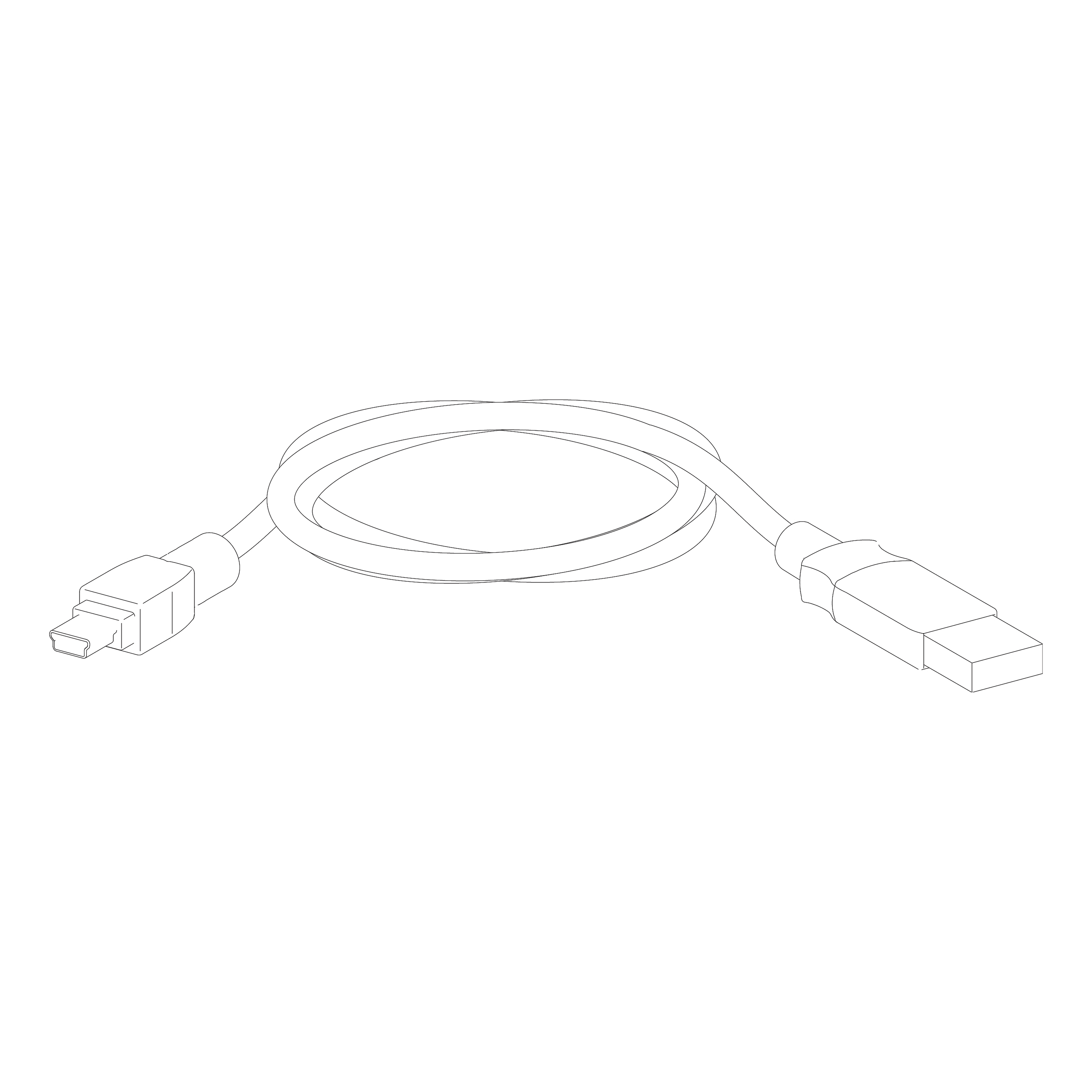 SCHNEIDER ELECTRIC - Cavo Mini USB-USB per Micrologic X