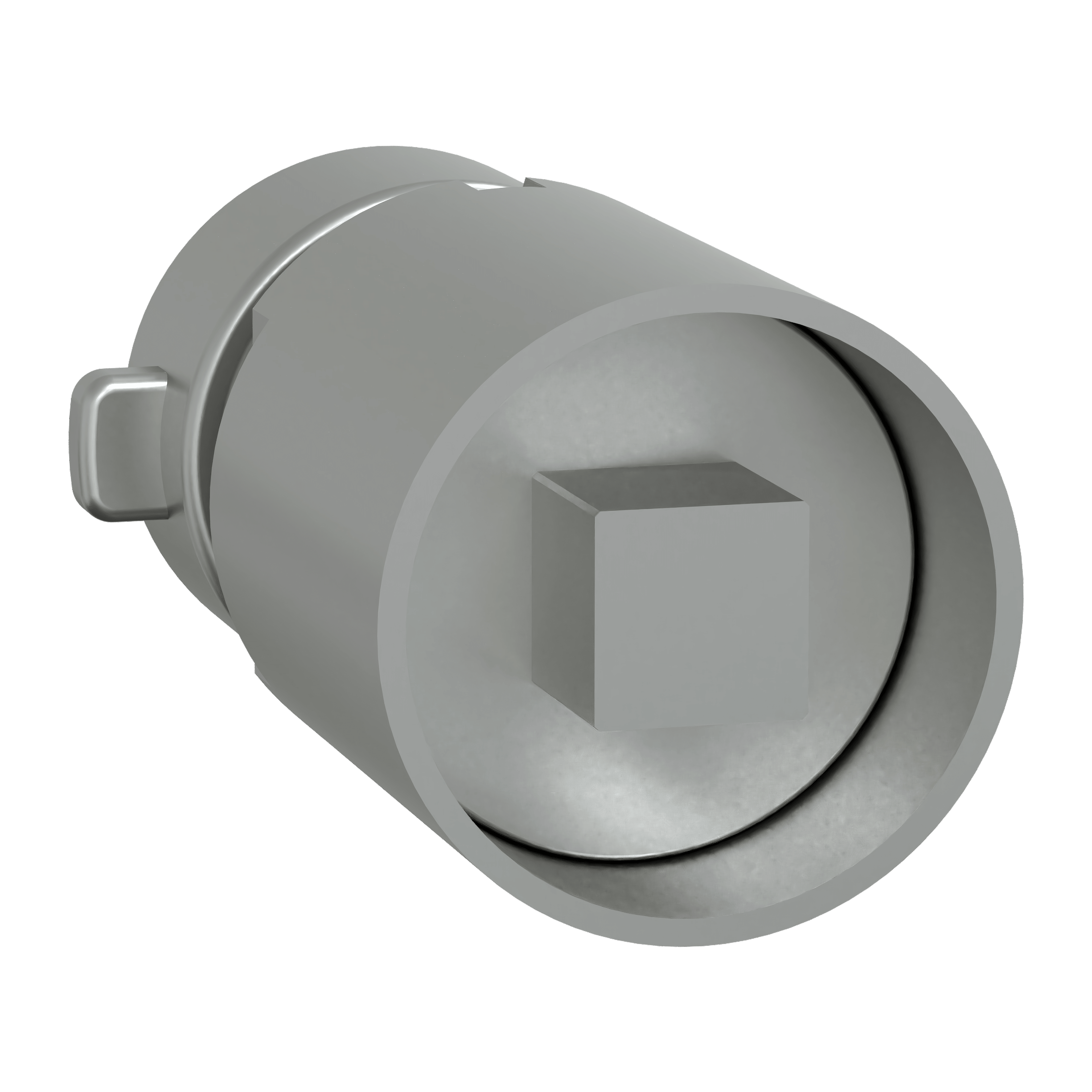 SCHNEIDER ELECTRIC - Inserto Maschio Quadrato 6 mm