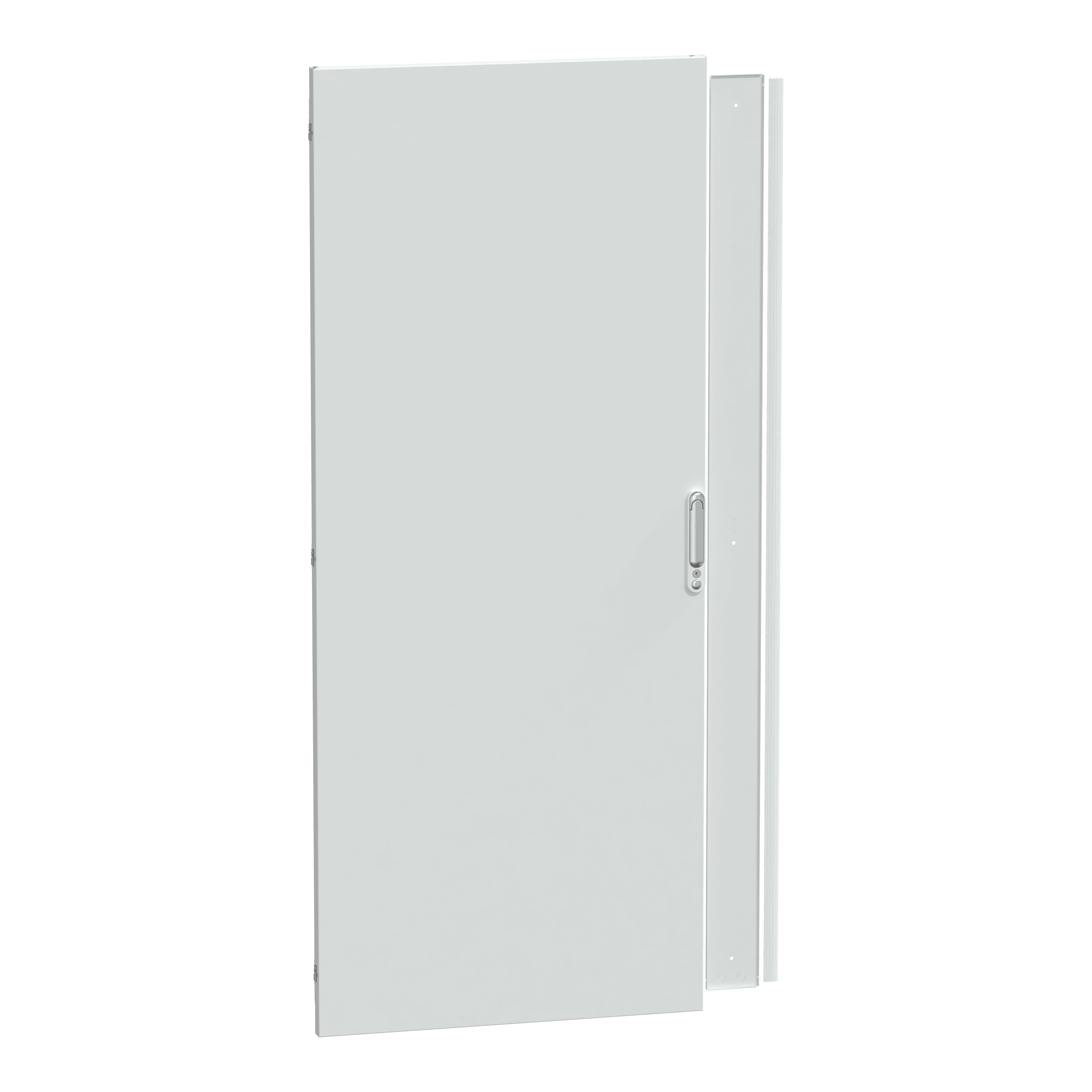 SCHNEIDER ELECTRIC - Porta piena IP55 L800  Prisma P LVS08528