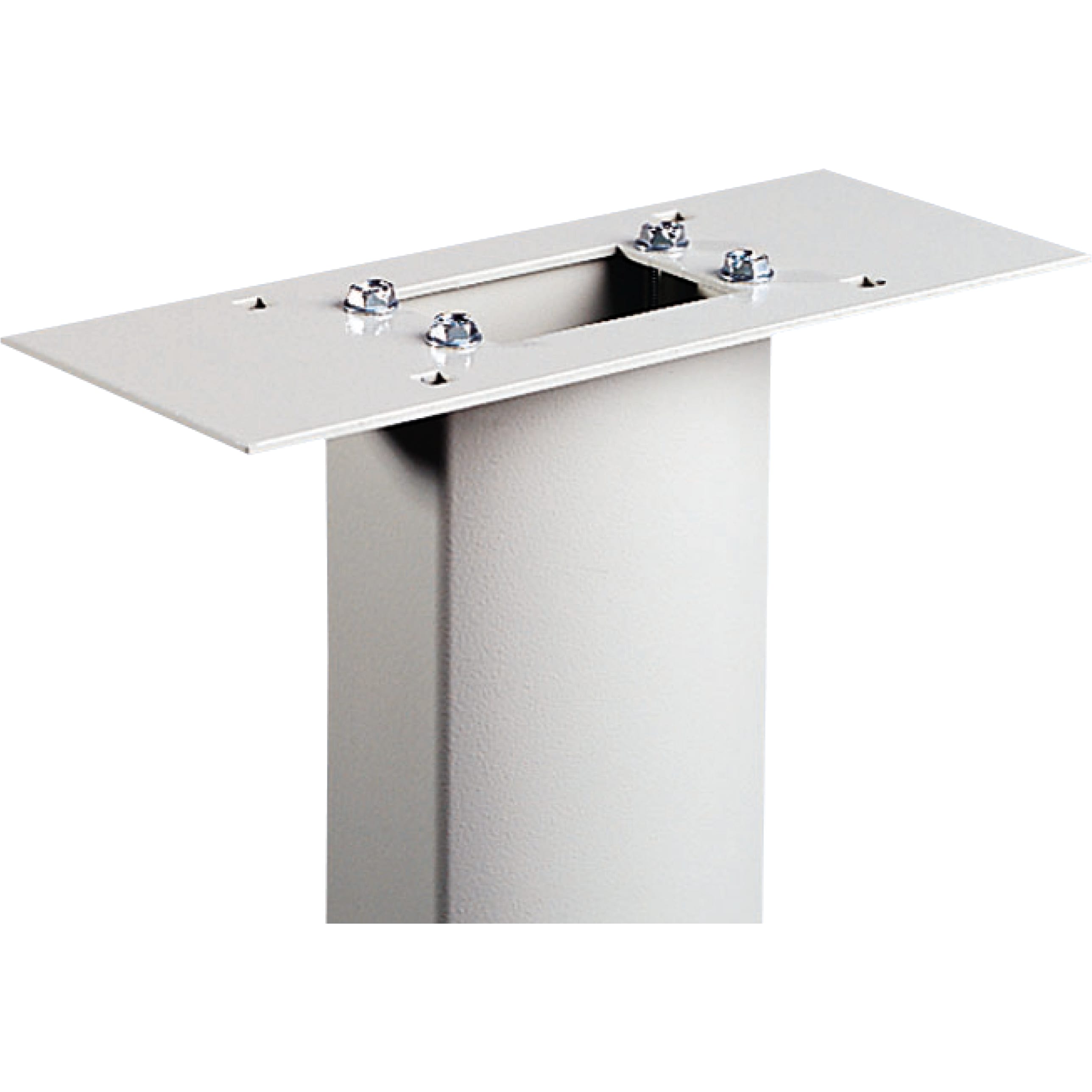 SCHNEIDER ELECTRIC - Piastra di adattamento L400xP200/250