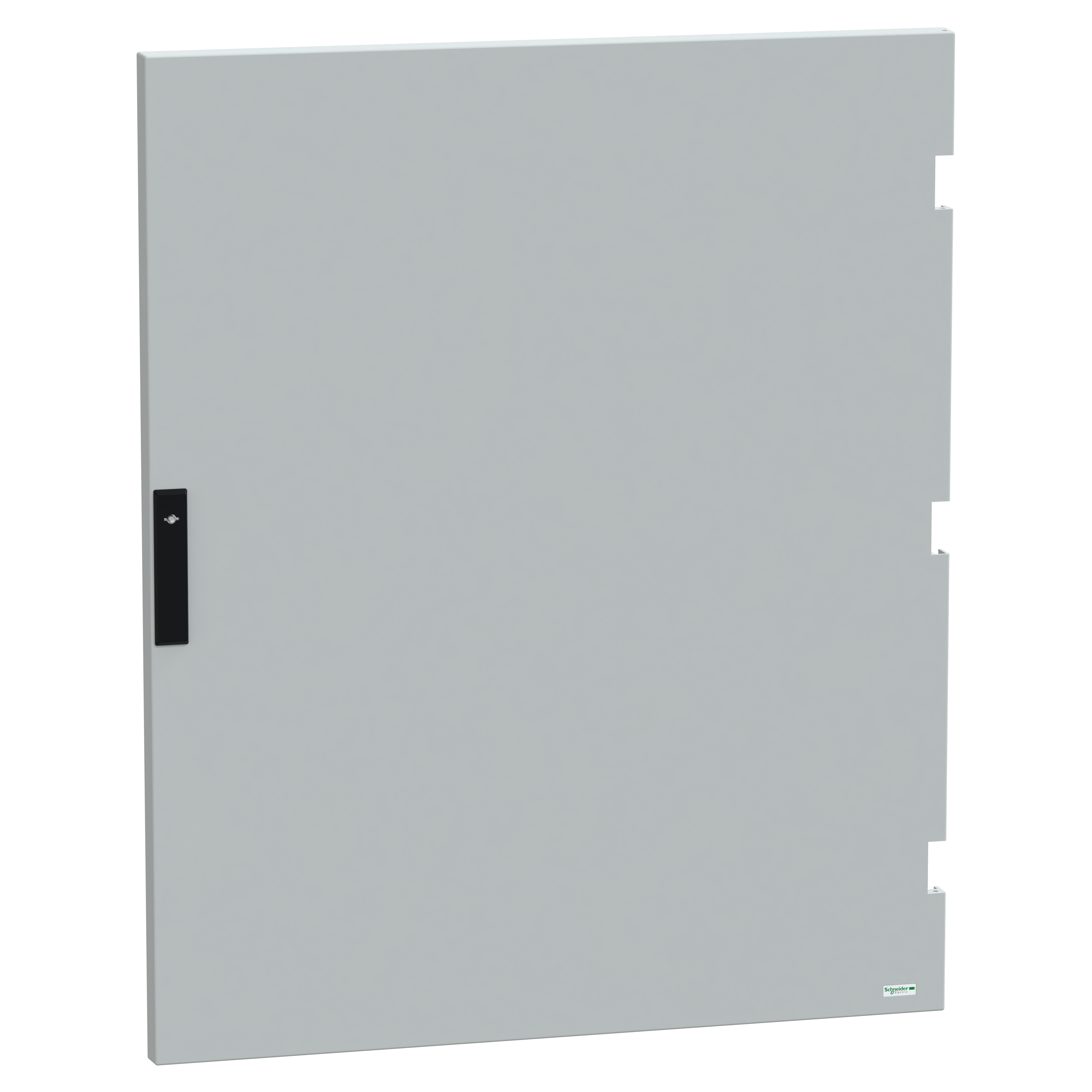 SCHNEIDER ELECTRIC - Porta per NSYPLM108 RAL 7035