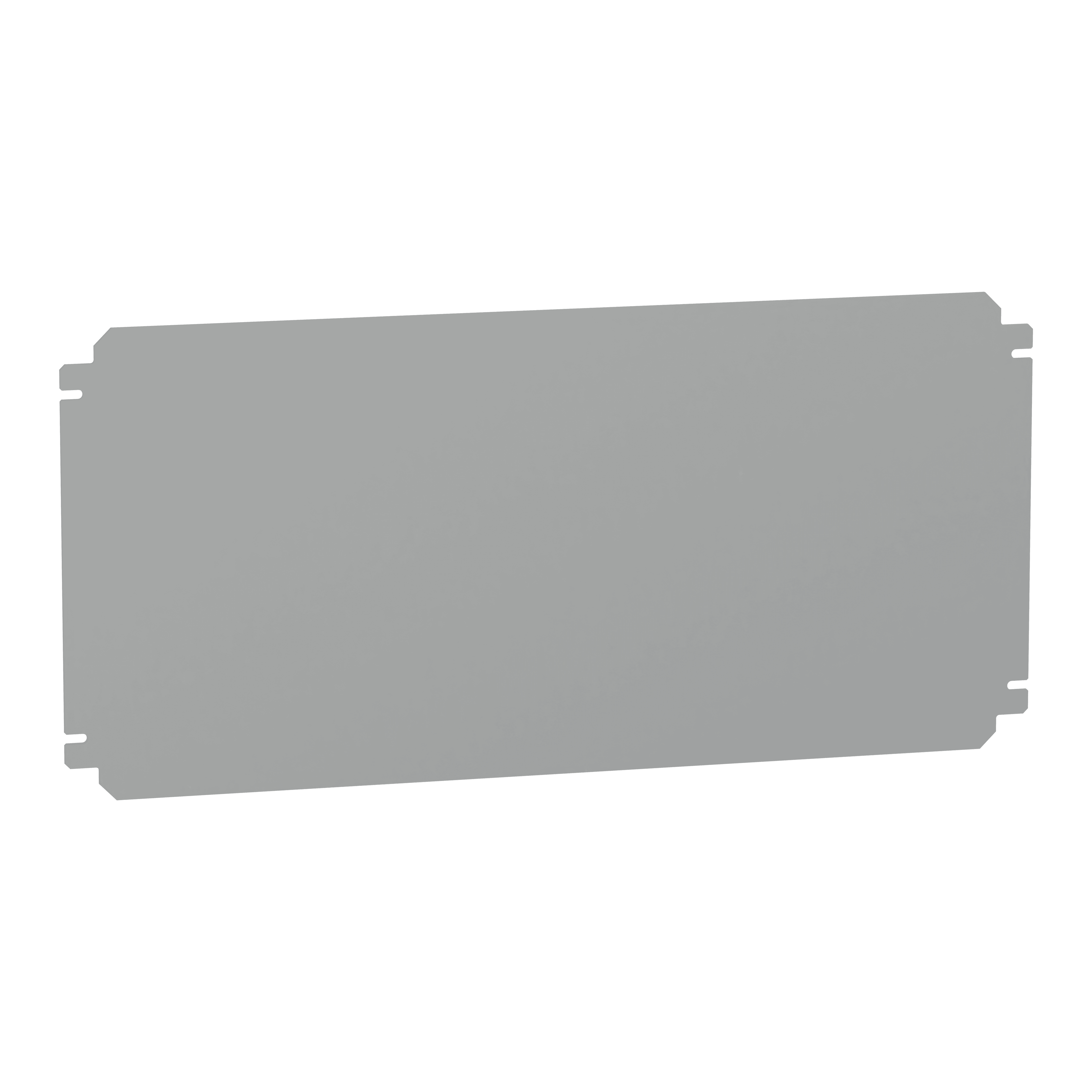 SCHNEIDER ELECTRIC - Piastra di fondo 300x600 per Spacial SBM NSYMM36SB