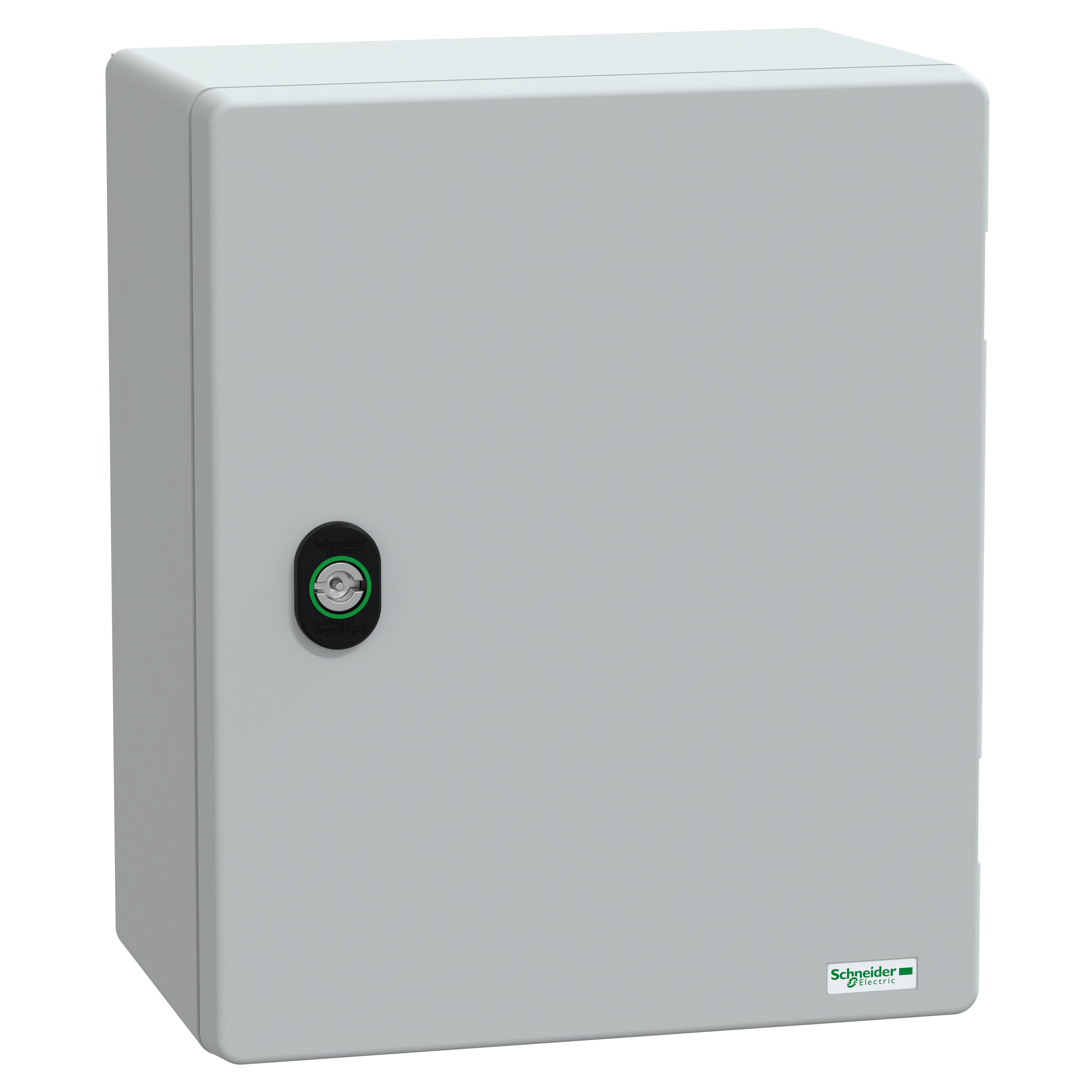 SCHNEIDER ELECTRIC - Cassetta in poliestere con porta liscia e piastra metallica, 308x255x160 mm, IP66, IK10, RAL 7035