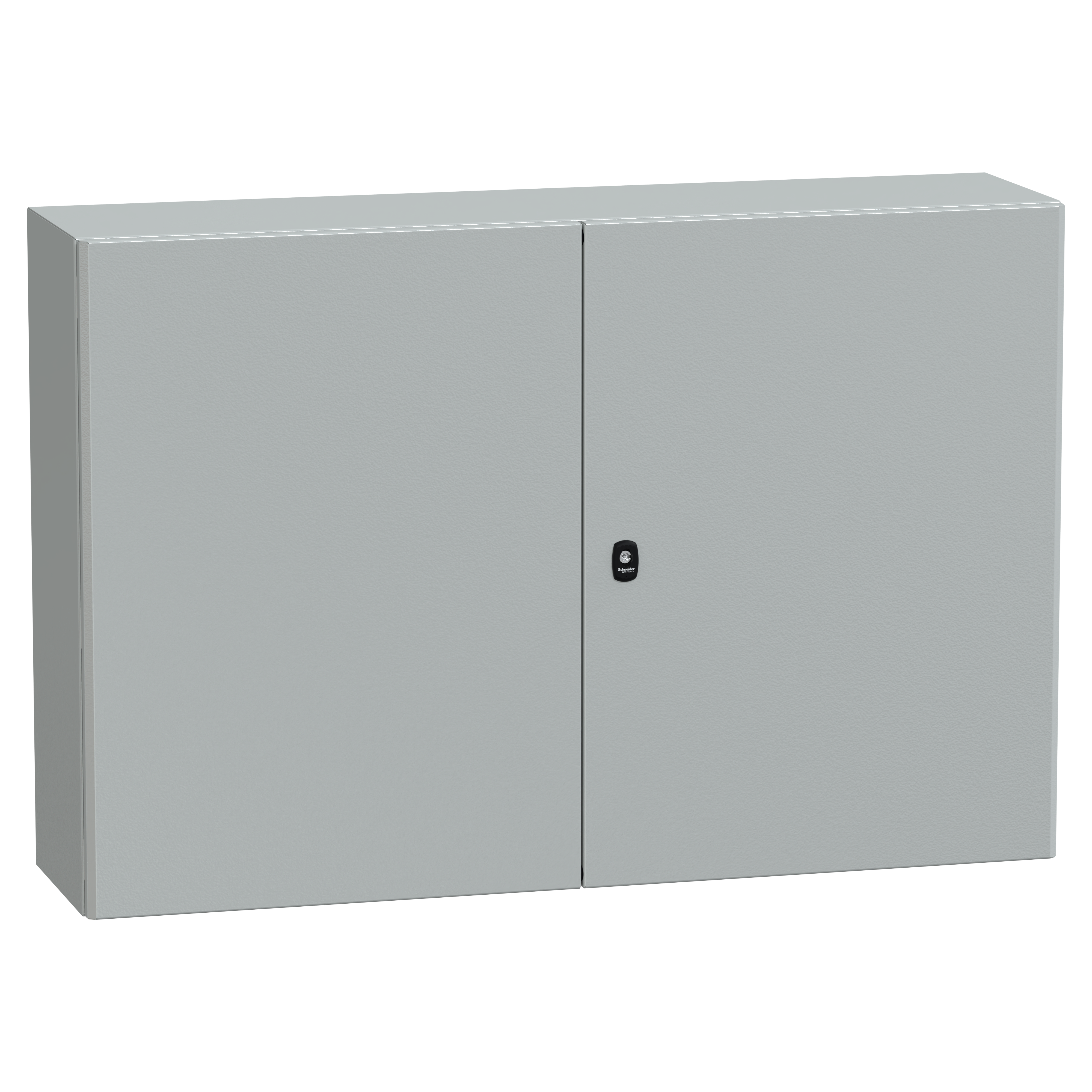SCHNEIDER ELECTRIC - Cassa PanelSeT S3D + piastra 800X1200X300 2 porte RAL7035