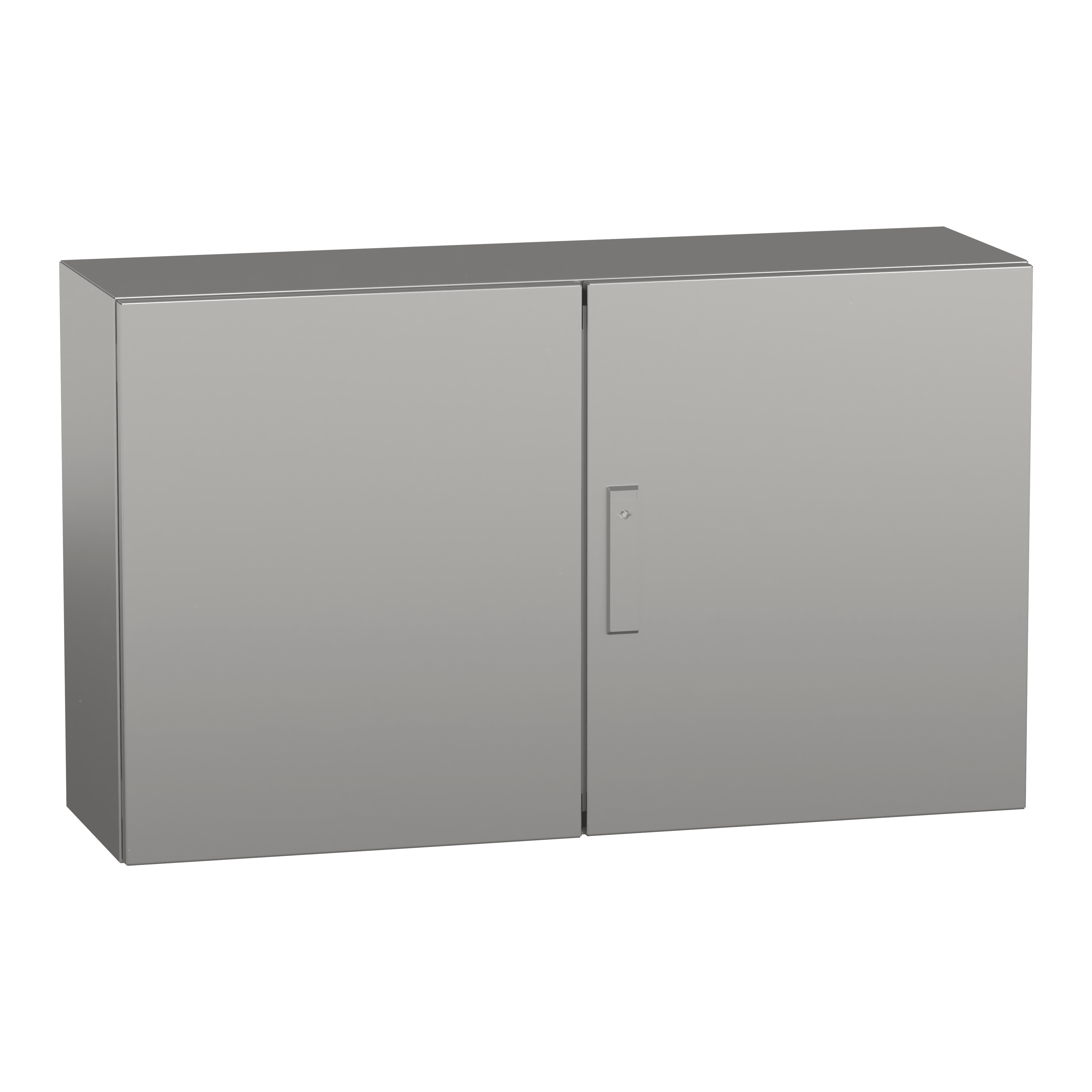 SCHNEIDER ELECTRIC - Armadio PanelSeT S3X, acciaio inox 304L, porta piena doppia, 600x1000x300mm, IP55