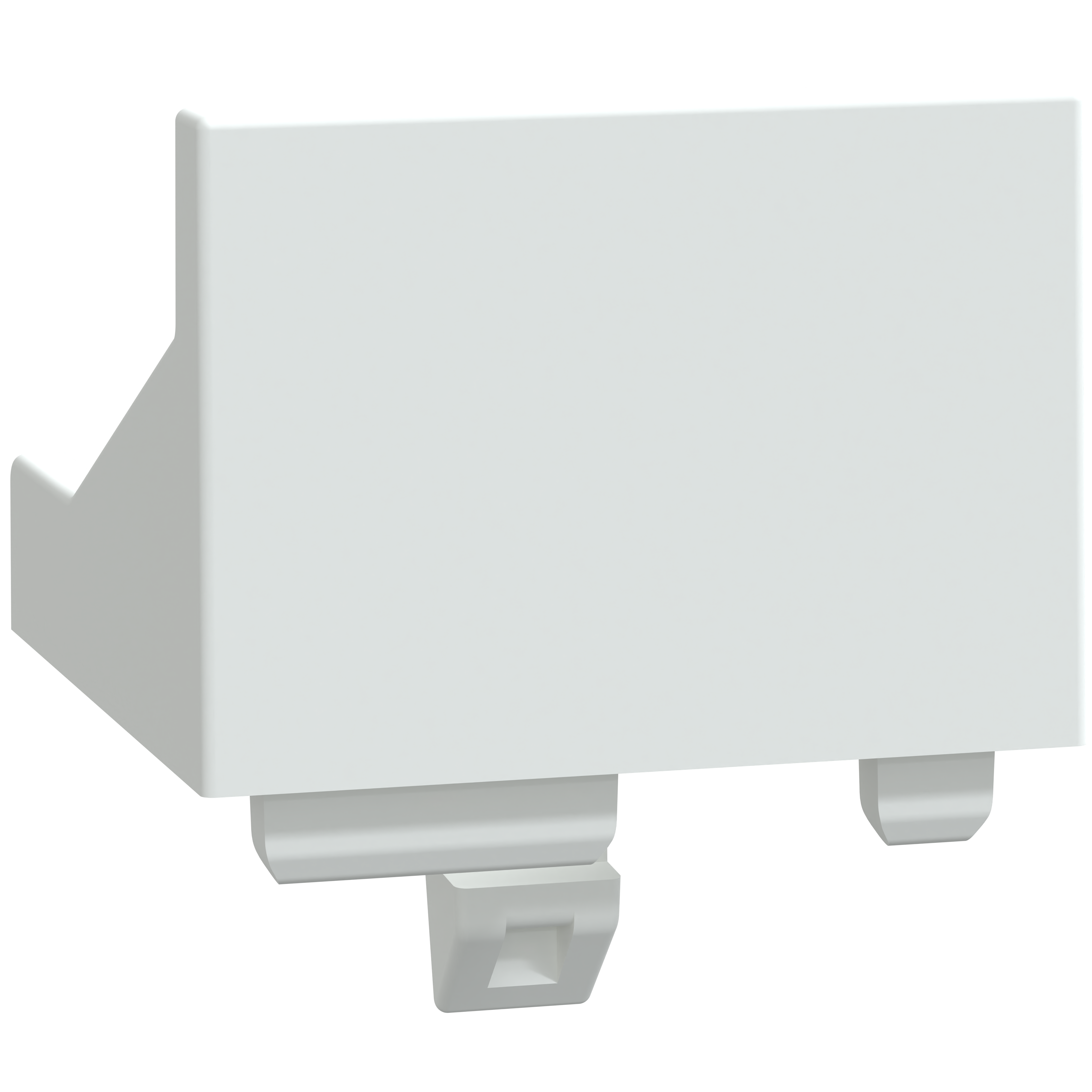 SCHNEIDER ELECTRIC - Accessorio, etichetta 14x10mm, da fissare sulla parte superiore del modulo, set di 50 unità, Modicon Edge I/O NTS NTSXMP2000