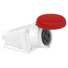 SCHNEIDER ELECTRIC - Presa fissa BT da parete small IP67 32A 380V 3P+T