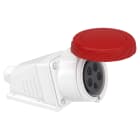 SCHNEIDER ELECTRIC - Presa fissa BT da parete small IP67 32A 380V 3P+N+T PKF32W735