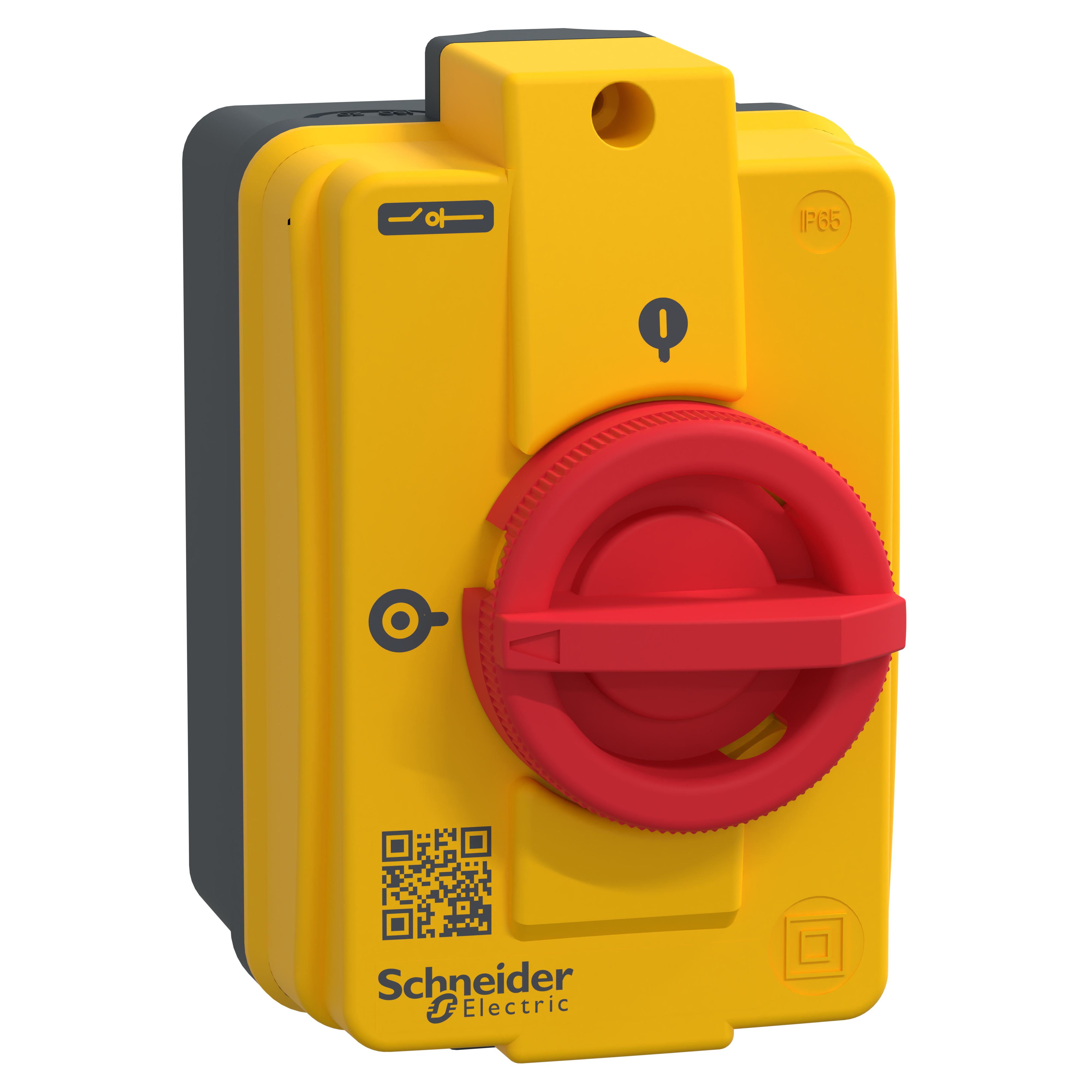 SCHNEIDER ELECTRIC - Interruttore sezionatore di emergenza Vario VCFN in cassetta IP55 - 3 poli - 32 A