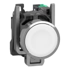 SCHNEIDER ELECTRIC - Pulsante, Harmony XB4, metallo, filoghiera, bianco, 22 mm, ad impulso, senza marcatura, 1 NO, contatti Push-in