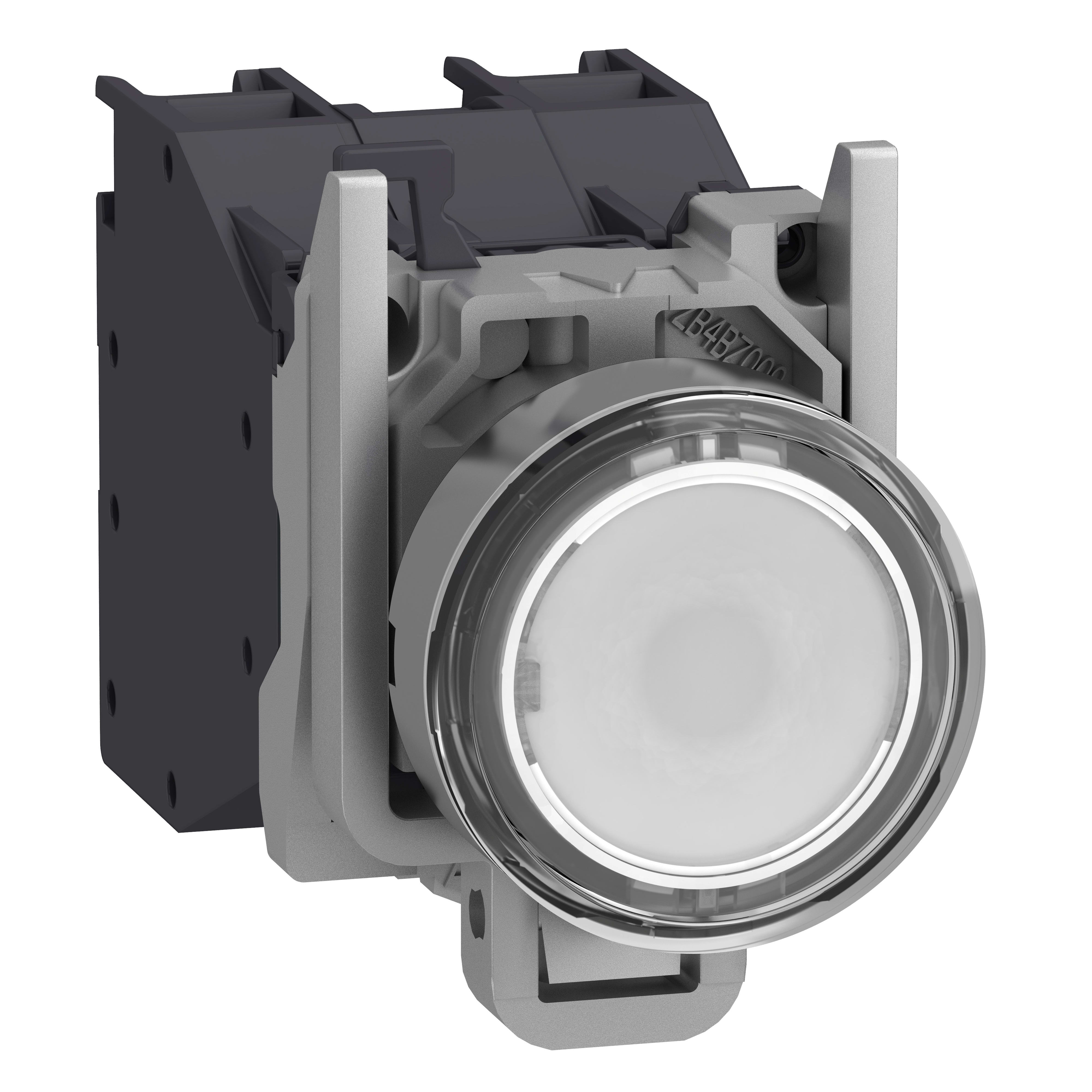 SCHNEIDER ELECTRIC - Pulsante luminso, Harmony XB4 - ATEX D, metallo, bianco filoghiera, 22mm, ad impulso, con cappuccio, 1NO, 24...254V AC/DC