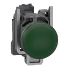 SCHNEIDER ELECTRIC - Lampada spia, Harmony XB4, metallo, verde, 22 mm, LED universale, gemma liscia, 110...120 V CA, contatti Push-in