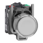 SCHNEIDER ELECTRIC - Pulsante luminoso, Harmony XB4, metallo, bianco filoghiera, 22 mm, LED universale, gemma liscia, 1NO + 1NC, 24 V AC DC, Push in