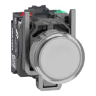 SCHNEIDER ELECTRIC - Pulsante luminoso, Harmony XB4, metallo, bianco filoghiera, 22 mm, LED universale, gemma liscia, 1NO + 1NC, 24 V AC DC, Push in
