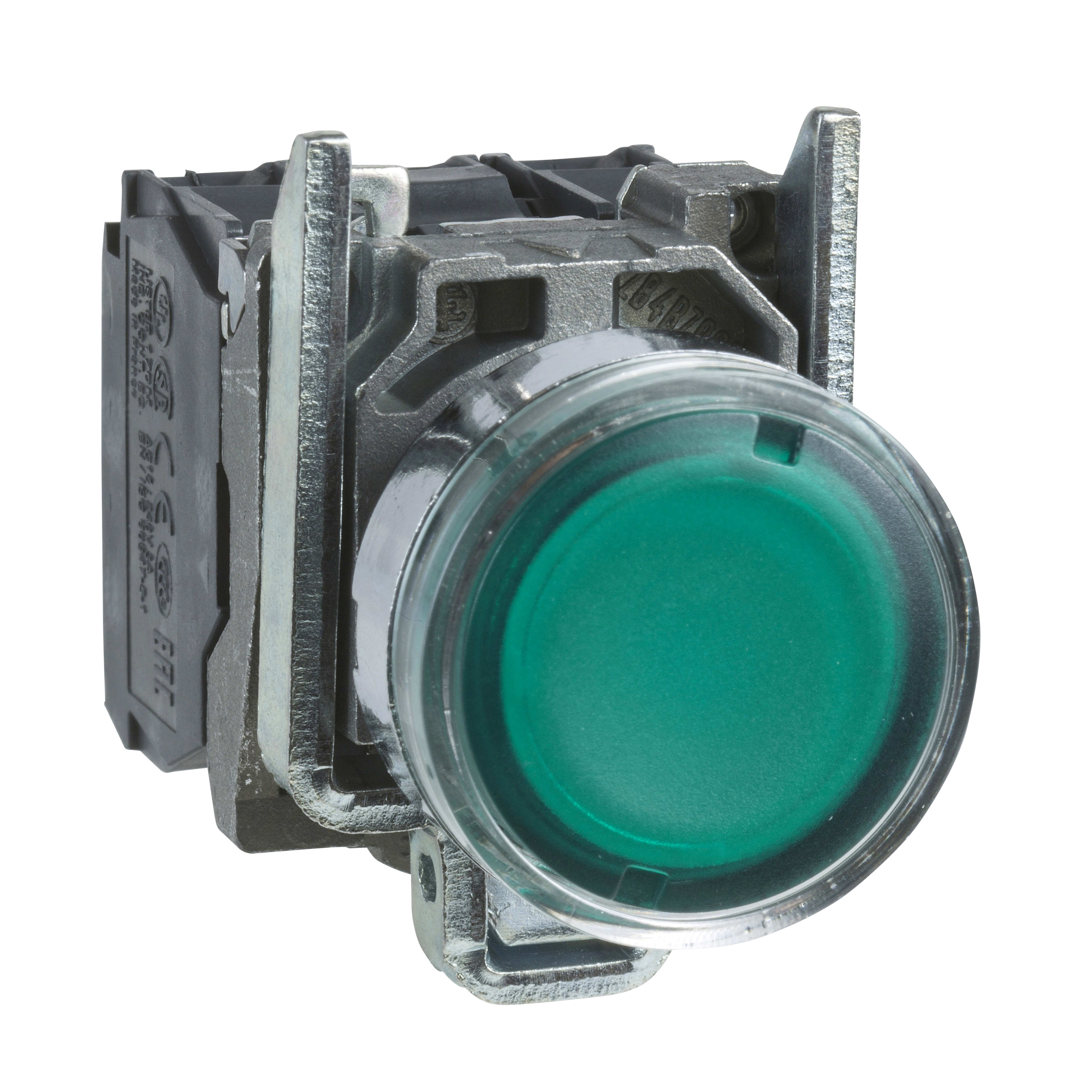 SCHNEIDER ELECTRIC - Pulsante luminoso verde Ø22 - filoghiera ad impulso - 250V - 1NO+1NC